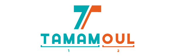 charte-graphique-naming-logo-tamamoul-djibouti-artistry-studio-algerie-design-graphique-02-01