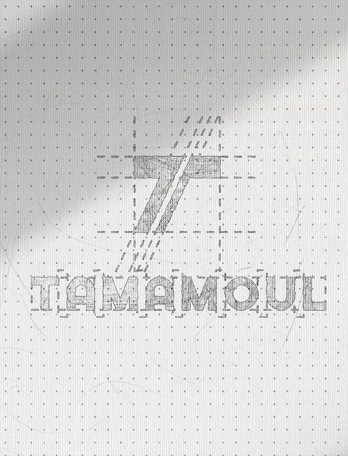 charte-graphique-refonte-logo-trame-tamamoul-djibouti-artistry-studio-algerie-design-graphique