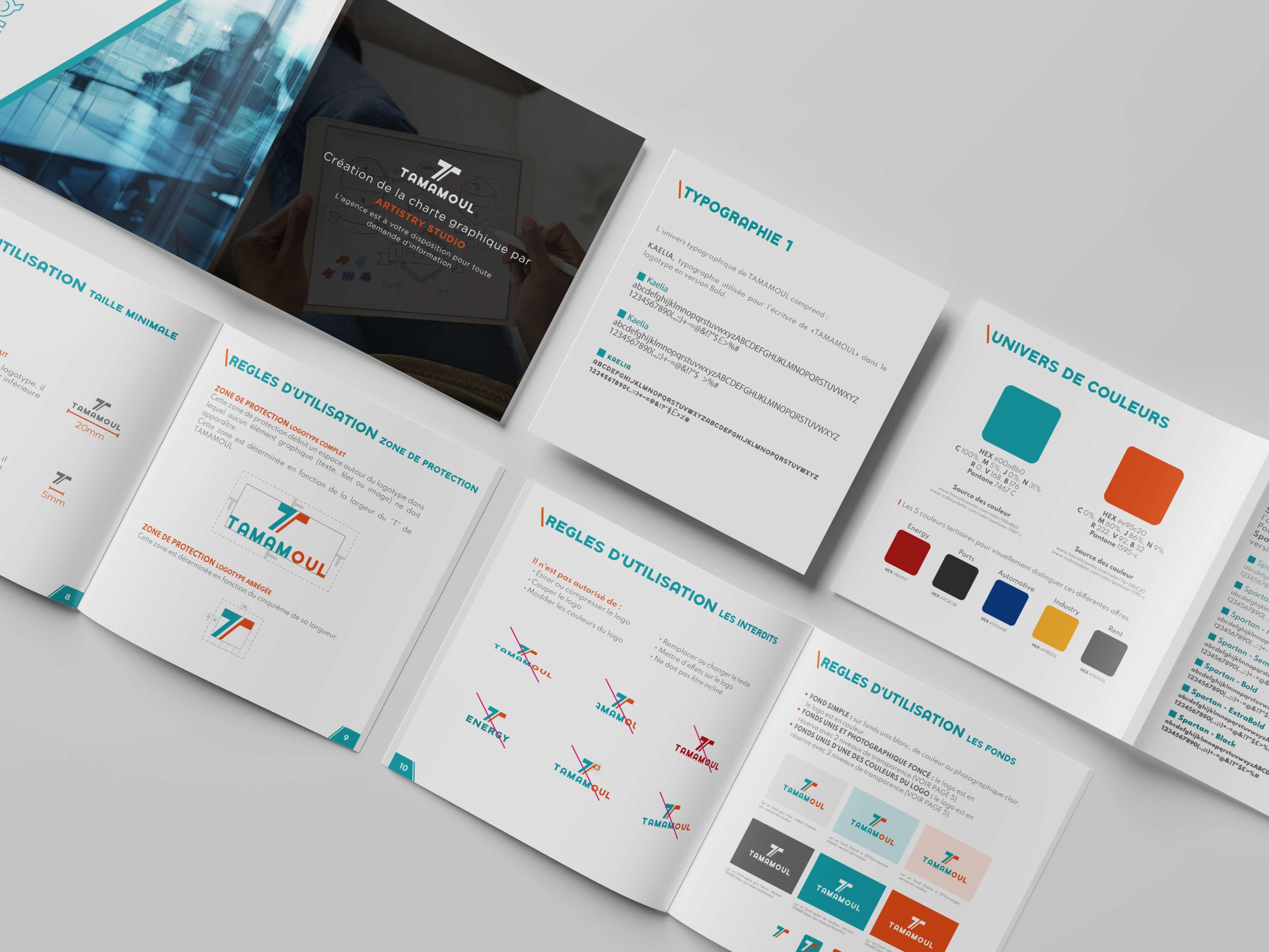 mockup-charte-graphique-refonte-logo-tamamoul-djibouti-artistry-studio-algerie-design-graphique copie