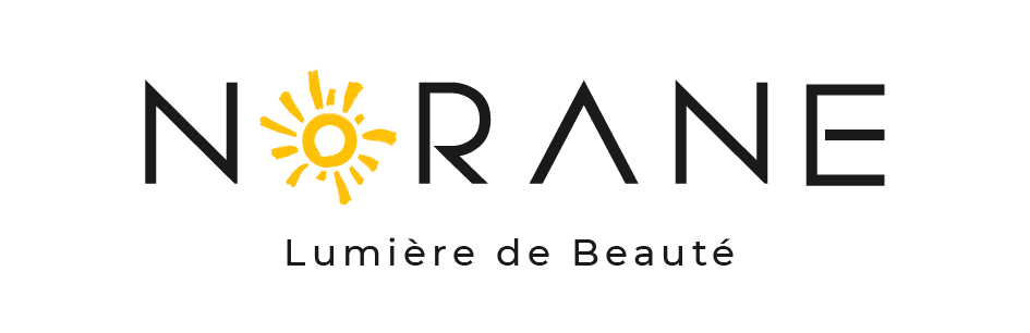 logo NORAN by Artistry