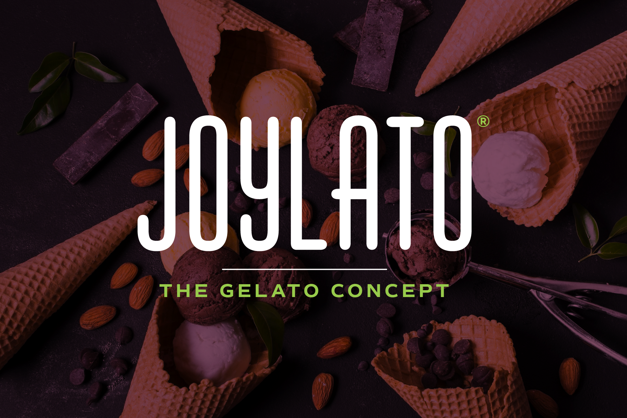 logo-joylato-sur-photo-by-artistry