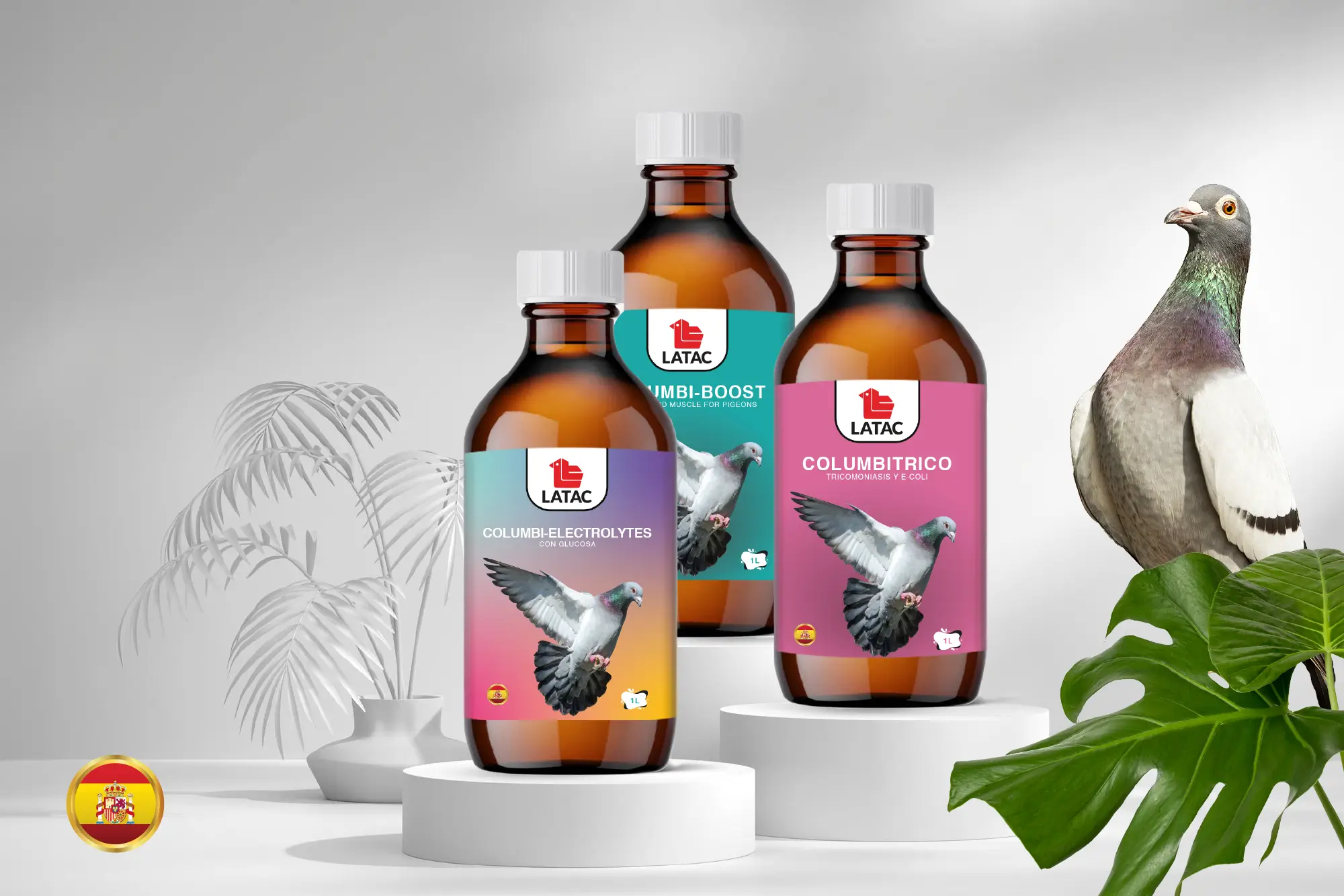 etiquette packaging Latac pigeon