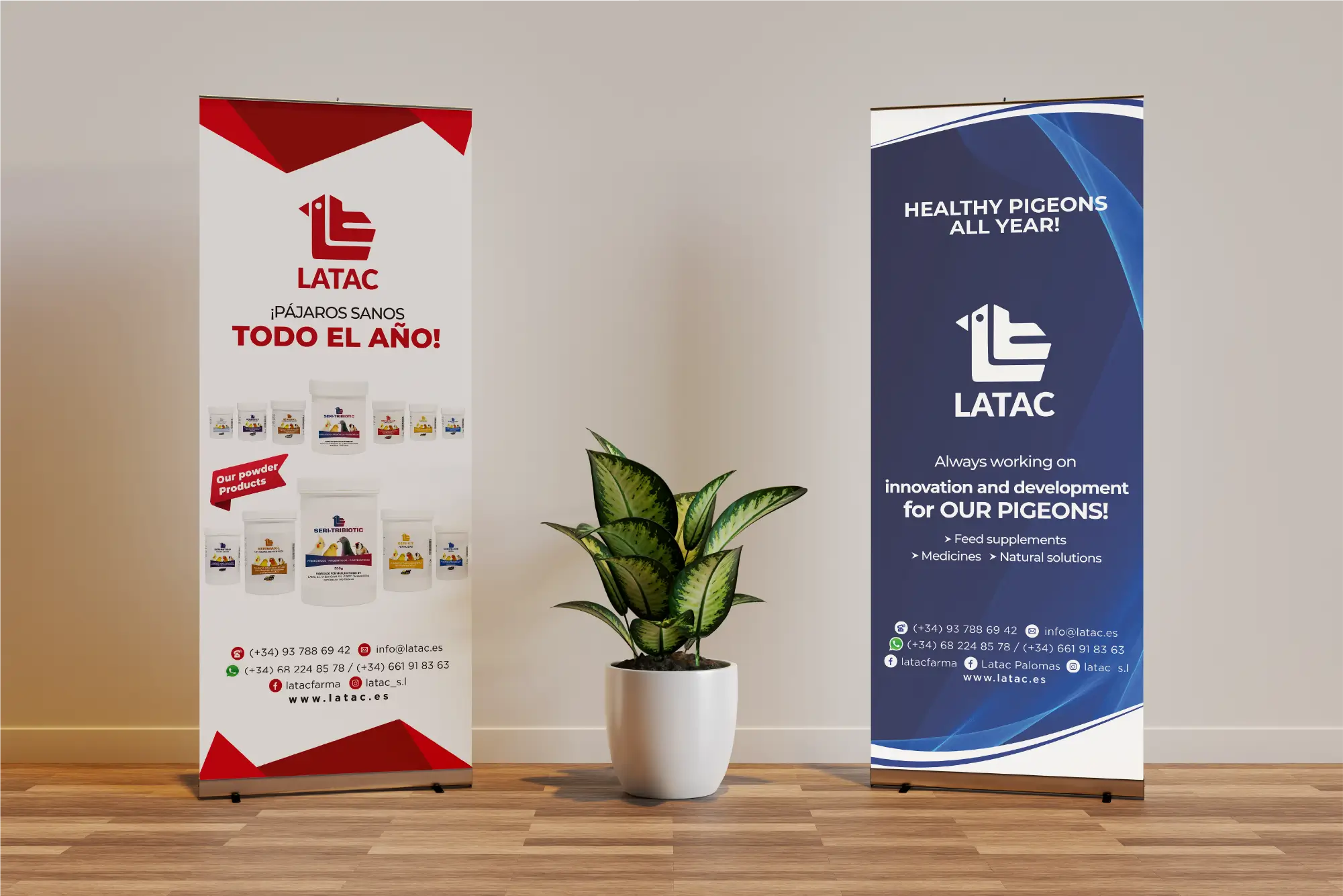 Roll-up bird et piegon latac espagne